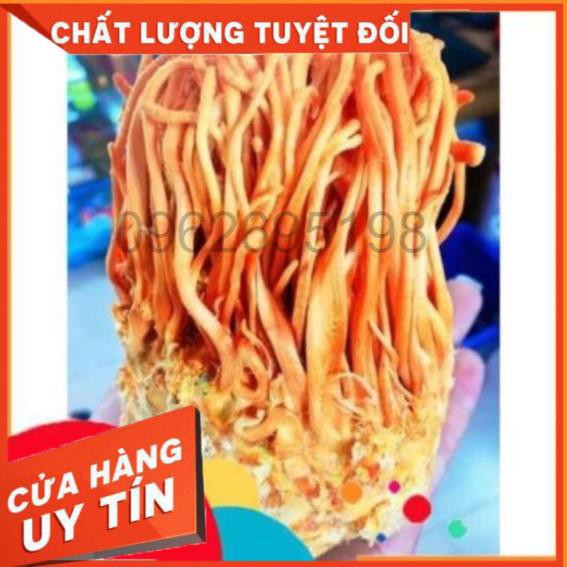 GIÁ SỐC: 1 hộp Hoa Đông Trùng Hạ Thảo Hàn Quốc Dạng Khô 45G