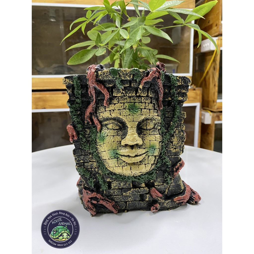 Hang mặt Malya trang trí chuồng bò sát