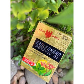 Dầu gió con ó Trắng & Vàng Eagle Brand