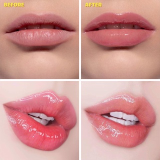 Son dưỡng Dior Addict Lip Maximizer 2ml