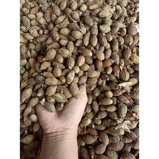 ĐƯỜI ƯƠI THANH NHIỆT, NHUẬN PHẾ, GIẢM HO, TRỪ ĐỜM, NHUẬN TRÀNG _100gr