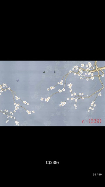 Phông chụp hình cổ trang vải không dệt