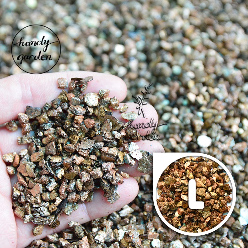 Đá Vermiculite (vơ-mi) size 1-2mm 2-5mm 5-7mm 7-12mm dùng trộn đất trồng sen đá vermi ươm mầm cây con, ấp trứng bò sát