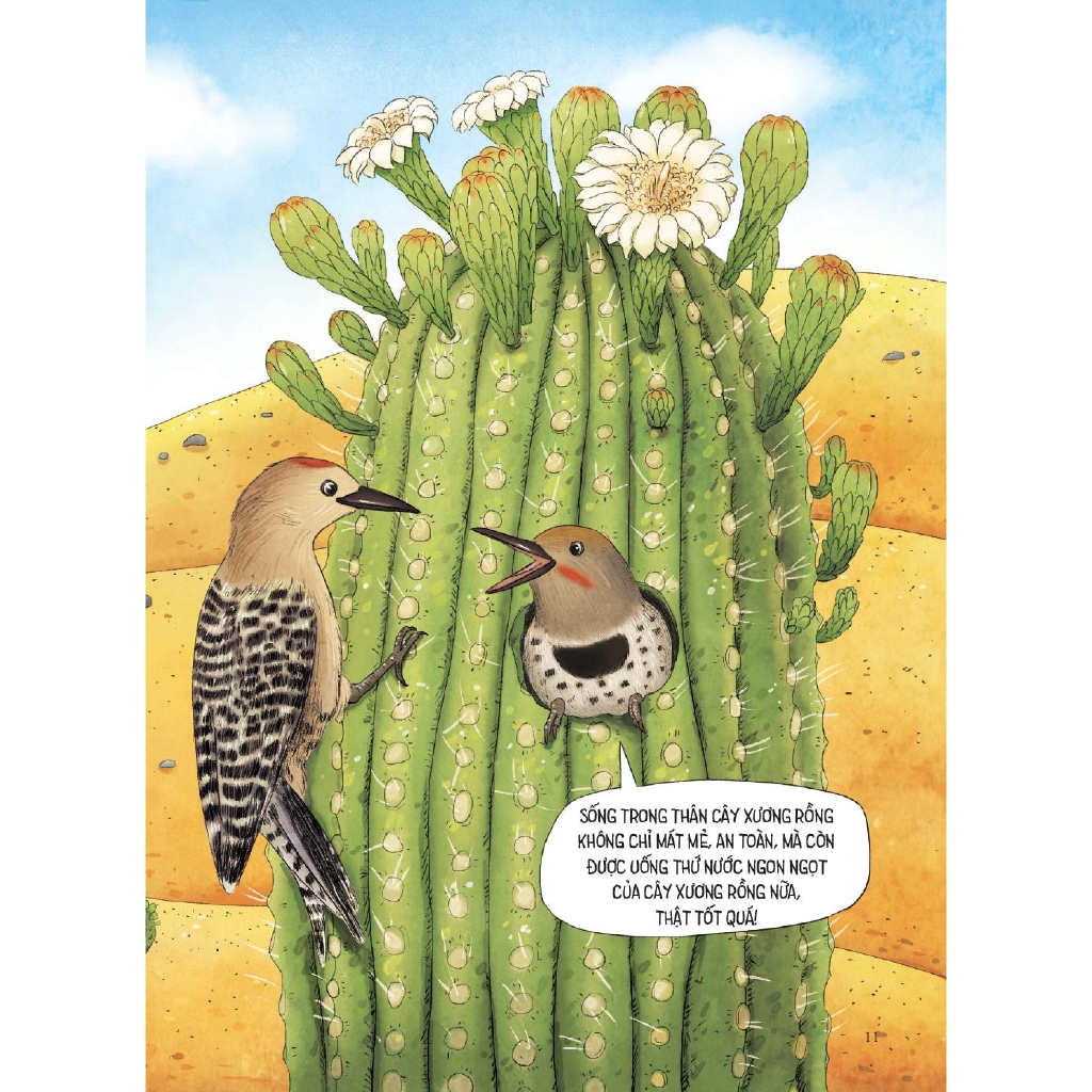 Sách - Bí Mật Muôn Loài - Nhà Ải Nhà Ai?