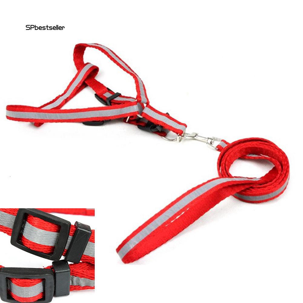 Dây đeo dắt thú cưng đi dạo thoải mái