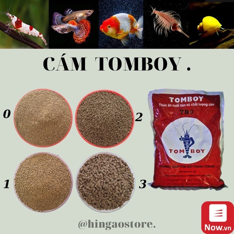 Cám Tomboy TB0 TB1 | thức ăn cá cảnh tép cảnh tôm cảnh giàu dinh dưỡng