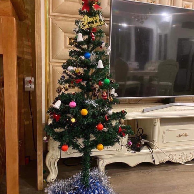 Cây thông noel