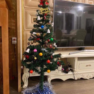 Cây thông noel