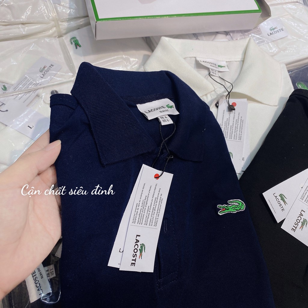 ANAM10 - ÁO POLO CÁ SẤU 3 MÀU CHO NAM | BigBuy360 - bigbuy360.vn