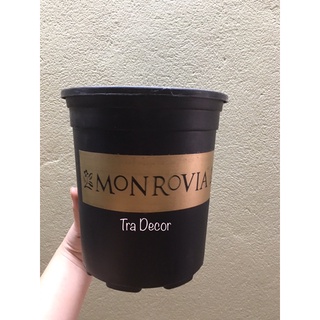 Chậu nhựa trồng cây Monrovia