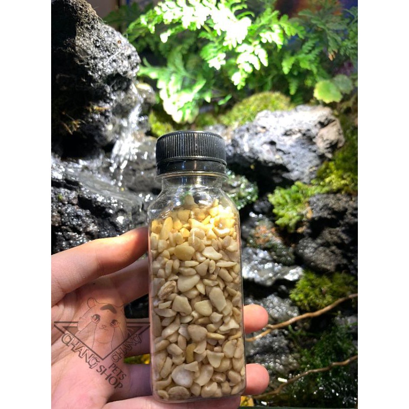 [gói 50g ] Hạt điều sữa dành cho hamster