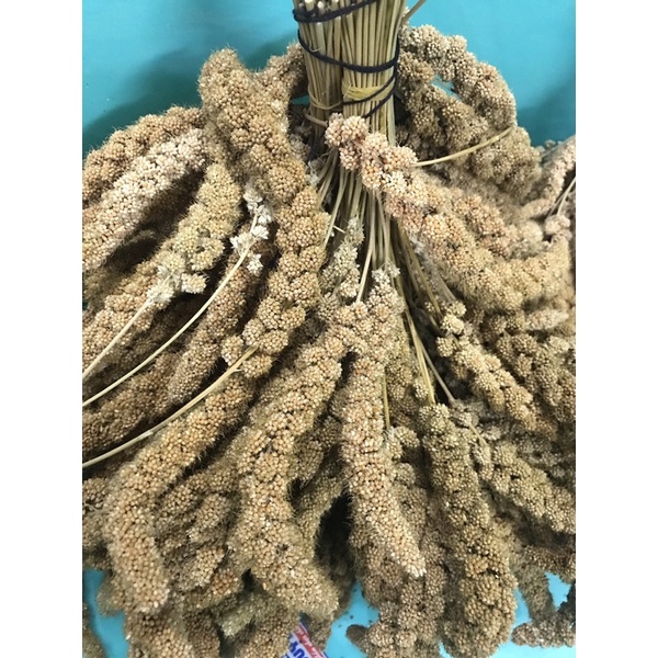 KÊ CHÙM TIỀN GIANG