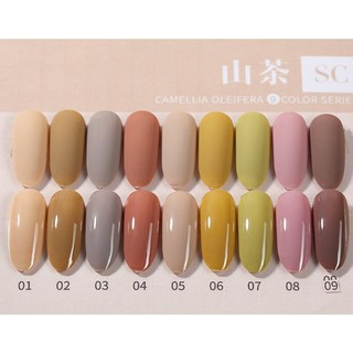 (Xả Kho Thanh Lý) Sơn gel AS 15ML ASC