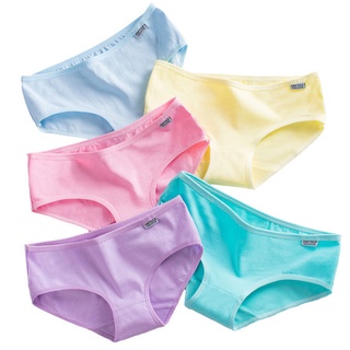 Quần lót Cotton tăm viền ren Nhật Bản