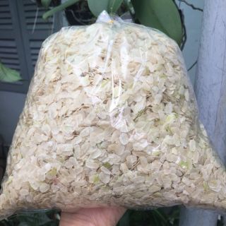 Cốm nếp sữa
