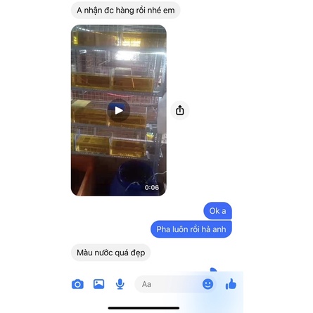 Bột lá bàng Colorful Powder For Betta