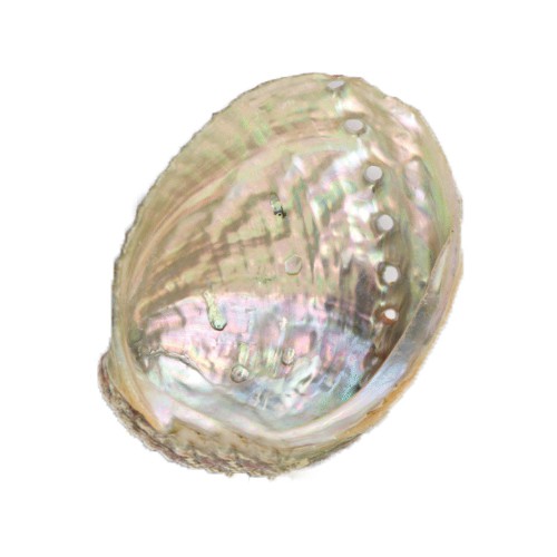 Sét phụ kiện đốt thảo dược để xông lá xô thơm - gỗ palo santo- bó thảo dược (Xem lựa chọn)