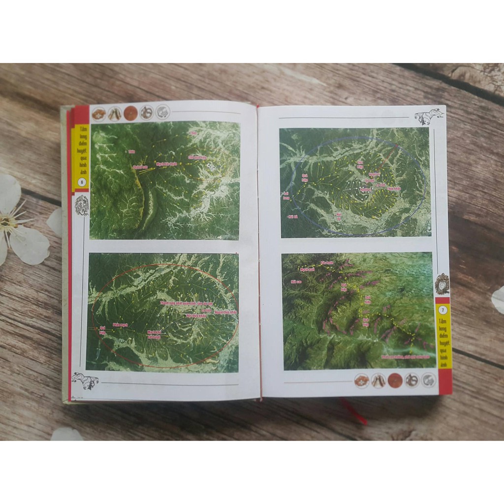 Sách - Tầm Long Điểm Huyệt Qua Hình Ảnh Gigabook | BigBuy360 - bigbuy360.vn