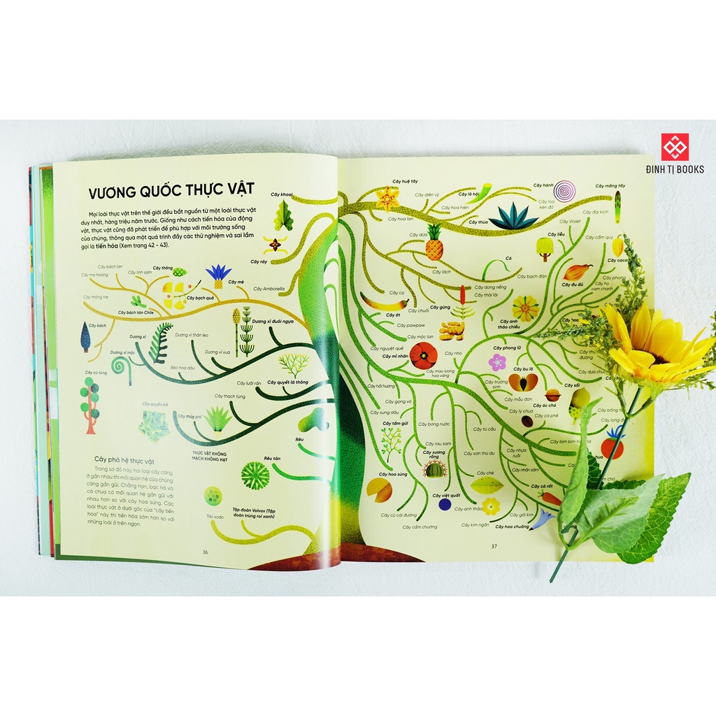 SÁCH - Bữa sáng của tớ là ánh dương