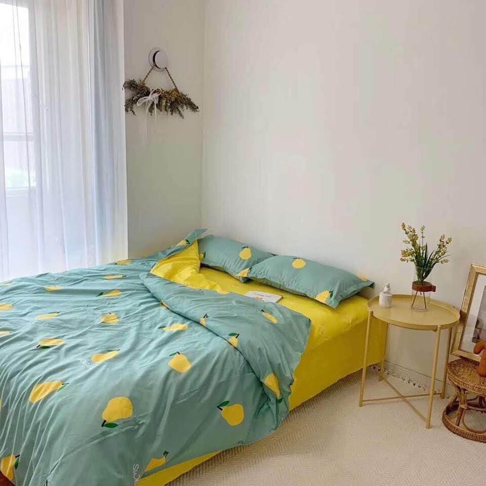 Set chăn ga 4 món- quả lê