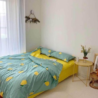 Set chăn ga 4 món- quả lê