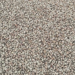 HẠT ĐIỀU RANG MUỐI CÒN VỎ LỤA 500 GR