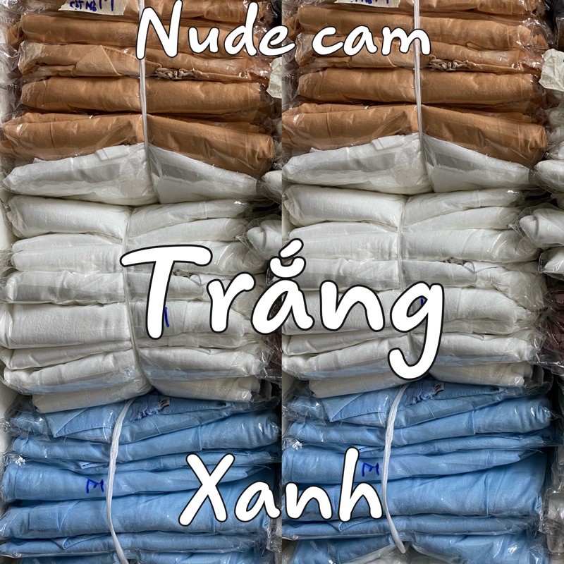 Đầm xoè cổ nơ dài tay xinh xắn 3 màu | BigBuy360 - bigbuy360.vn