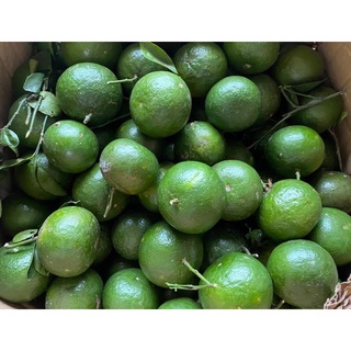 cam sành vĩnh long 4trái/kg