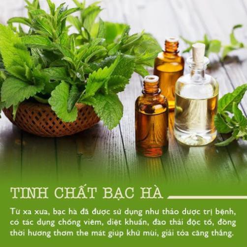 Tinh dầu bạc hà xịt phòng Hoa Nén 100ml - Giúp khử mùi, diệt khuẩn, xua đuổi côn trùng hiệu quả