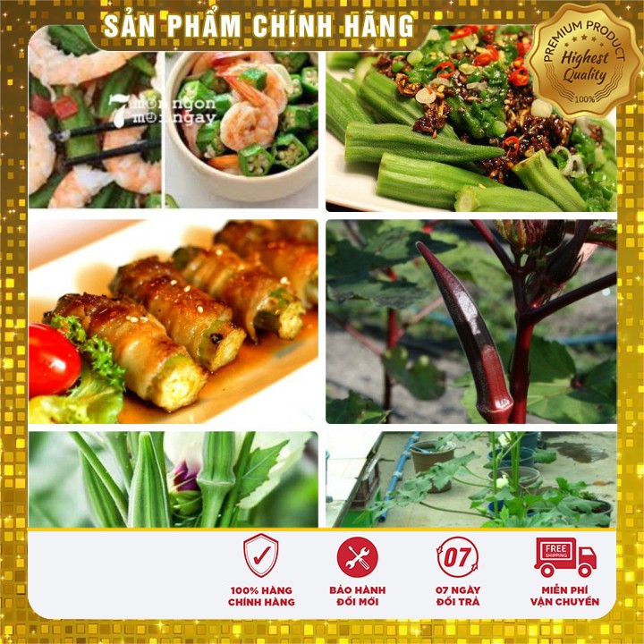 SET 02 gói hạt giống đậu bắp đỏ và đậu bắp xanh cao sản