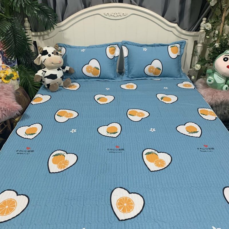 Bộ ga gối cotton chun trần bền đẹp, đủ kích thước (ảnh thật)