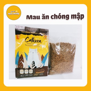 Hạt cho mèo Catizen 1kg