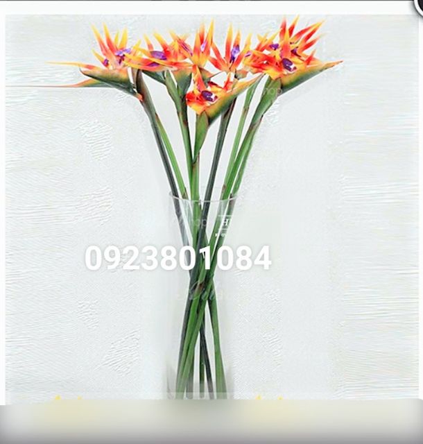 Hoa thiên điểu casu cao cấp cao 85 cm Giá sỉ- Hoa Giả