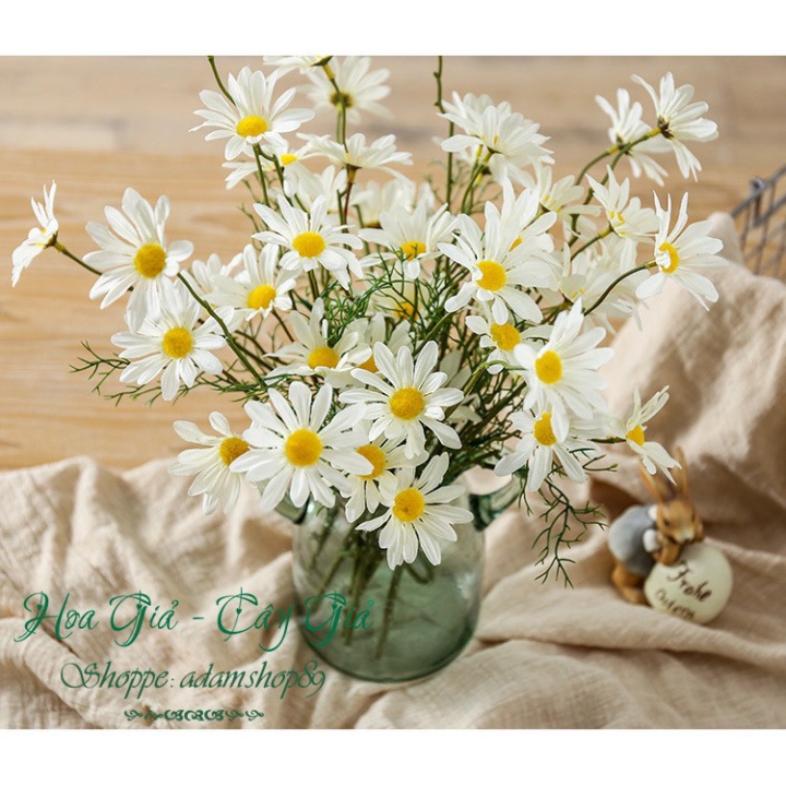 [Nhung bebu]  Hoa giả - Hoa Cúc Họa Mi Hà Lan Siêu Đẹp