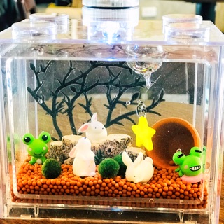 Set Tảo Marimo hộp Lego đèn LED (như hình)