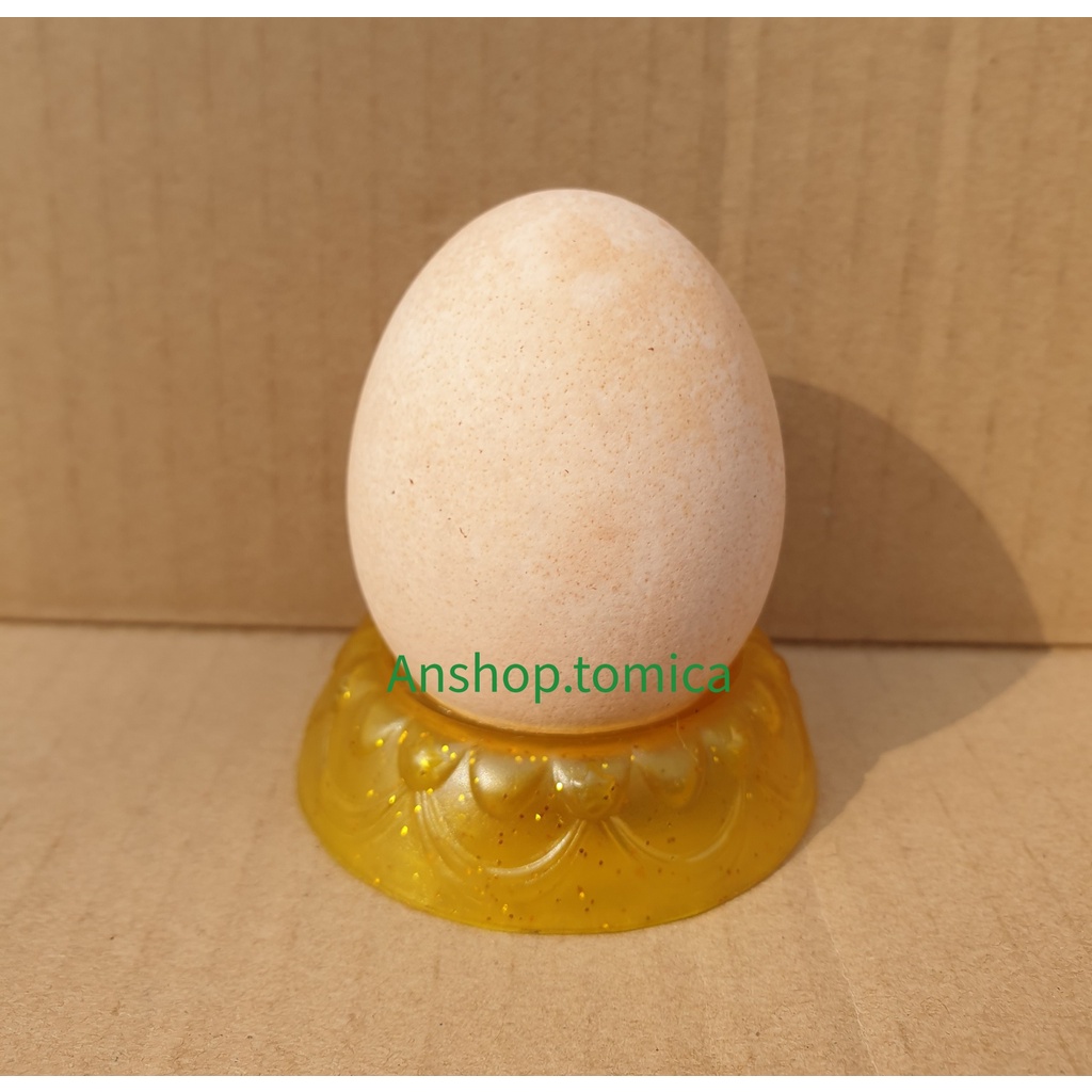 Combo 5 đế để quả trứng hàng Spin Master Canada