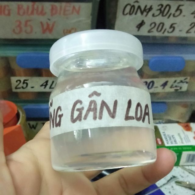 Keo dưỡng gân loa màng loa