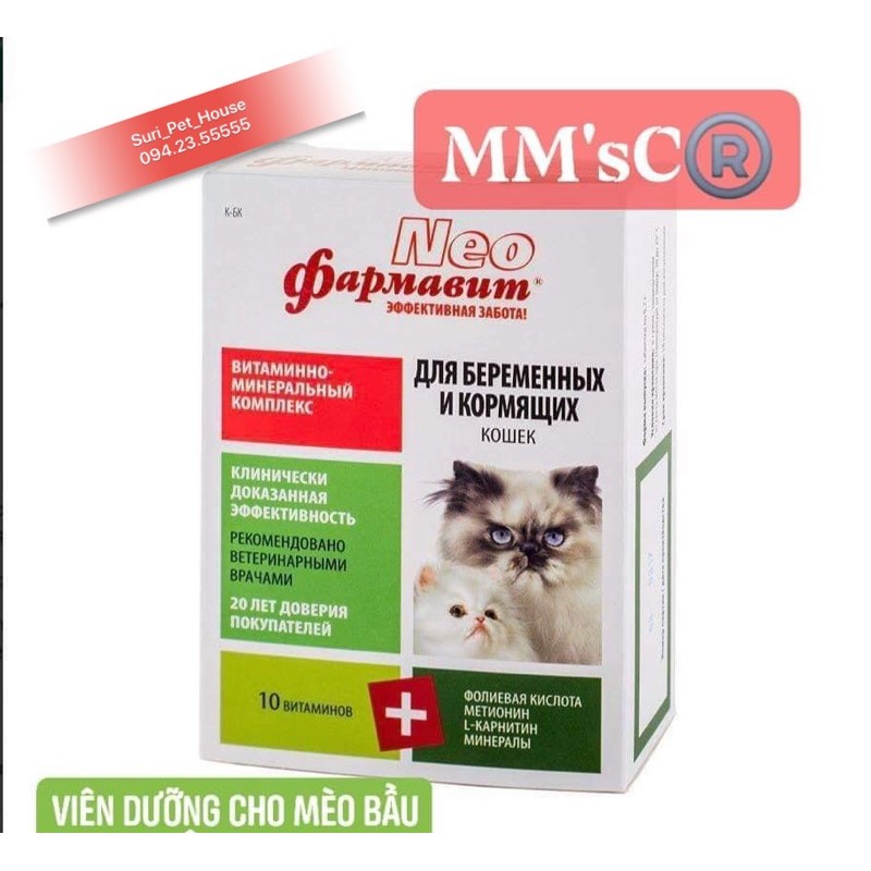 Vitamin cho mèo bầu dinh dưỡng cho mèo con Neo bổ sung canxi Surica NF01 (60v)
