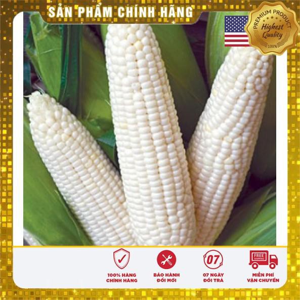Hat giống bắp ngô nếp 30 hạt USA