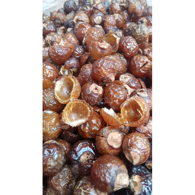 [1kg loại 1 đã tách hạt] Bồ hòn khô Tây Nguyên mua 3kg tặng 1 bé scoby