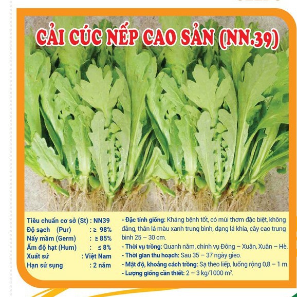 1KG Hạt giống rau Cải Cúc Nếp lá to (Cúc Tần Ô lá tròn) cao sản