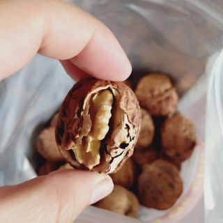 500g óc chó nếp sa pa (vỏ mỏng , cơm nhiều)