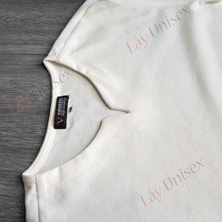 Áo thun bigsize nam trơn cổ tim v nhỏ - Basic tee