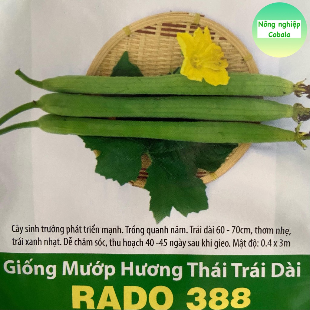 Hạt Giống Mướp Hương Thái Trái Dài (RADO388) 1gr