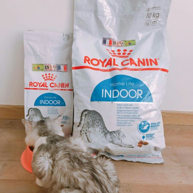 Hạt Canin indoor dành cho mèo trưởng thành