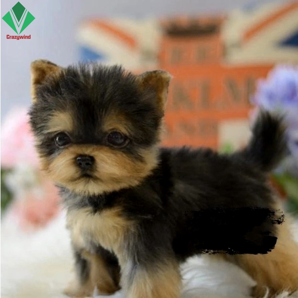 Đồ Chơi Thú Nhồi Bông Hình Chú Chó Giống Thật Dễ Thương