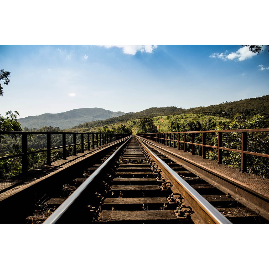 Bàn chải cho người niềng răng Dụng cụ vệ sinh răng niềng Bàn chải niềng răng  hết hôi miệng PRO ORTHO Thụy Sĩ