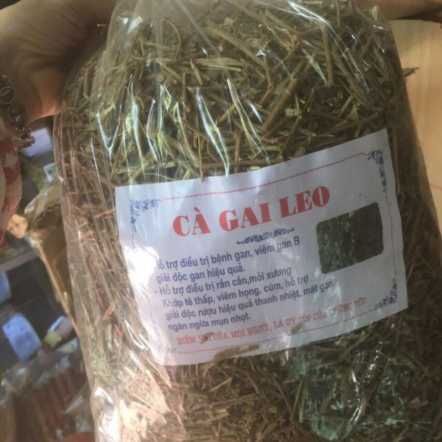 1kg cà gai leo