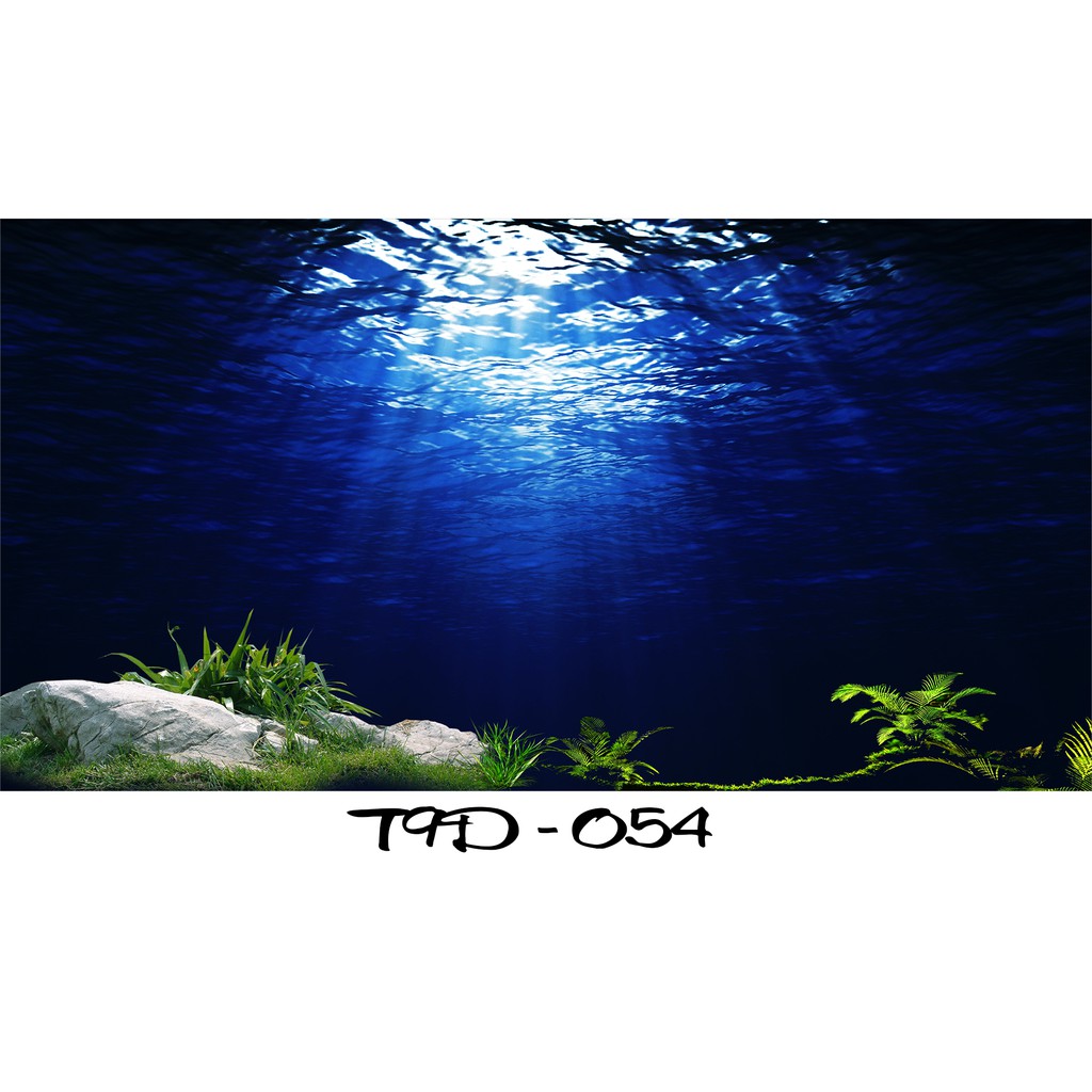 Tranh 3D bể cá mã T9D-054 kt (60,80,90,100,1m2,1m5,1m6)