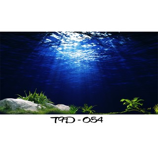 Tranh 3D bể cá mã T9D-054 kt (60,80,90,100,1m2,1m5,1m6)